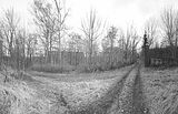 heilanstalt milbitz_010
